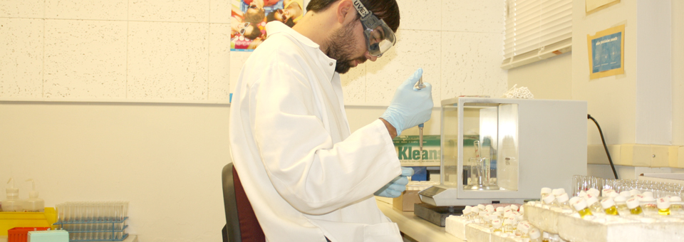 About Jaco Testing